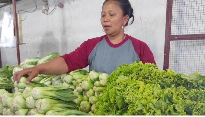 harga sayuran di kota Jakarta Utara versi kami