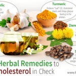 Herbs for reducing cholesterol