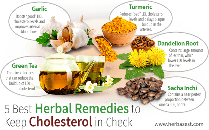 Herbs for reducing cholesterol