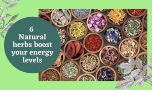 Herbs for boosting energy levels