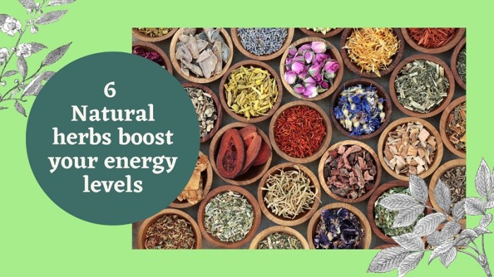 Herbs for boosting energy levels