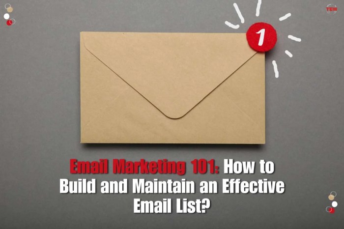 Building an Email List for Marketing