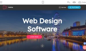 Website Design Ideas